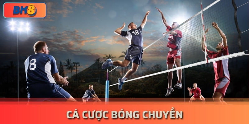 Cá Cược Bóng Chuyền Là Gì? Mẹo Chơi Bao Thắng Tại Nhà Cái BK8