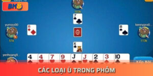 Các Loại Ù Trong Phỏm Được Sử Dụng Phổ Biến 2024